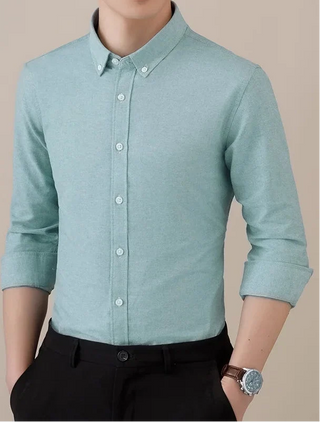 Chemise business formelle en coton à manches longues